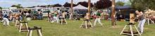 Action in the Mens Masters final of the woodchopping.