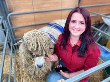 Grace Hobby of Bracknell helped prepare Melton Park Studs Champion English Leicester ewe for the sheep section of Longford Show.