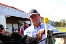 Andrew Raff of King Island talking cattle handling.