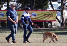 Agfest