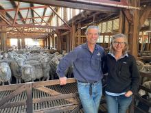 Julian and Anna von Bibra, owners of Beaufront at Ross where a shearing school is held each year.