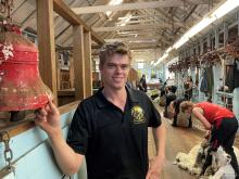 Sam Byers of Ross is a gun shearer who assists with training at the shearers’ school