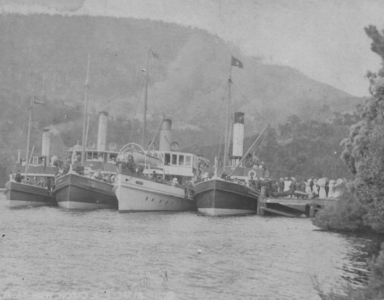 The steamers lined up at the jetty for the 1910 New Norfolk Regatta
