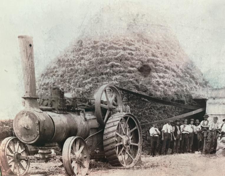 Ted Pearn’s threshing plant pictured at Cluan.