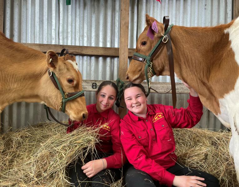 Yolla District School student Lilly Shaw of Elliot and Ashlee Gardam of Wynyard with school dairy cows Torpedo and Denzil