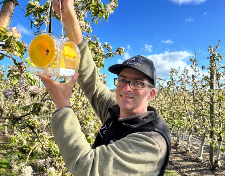JM Roberts Charitable Trust recipient Justin Cappadonna with a codling moth sensor at an apple orchard in northern Tasmania.