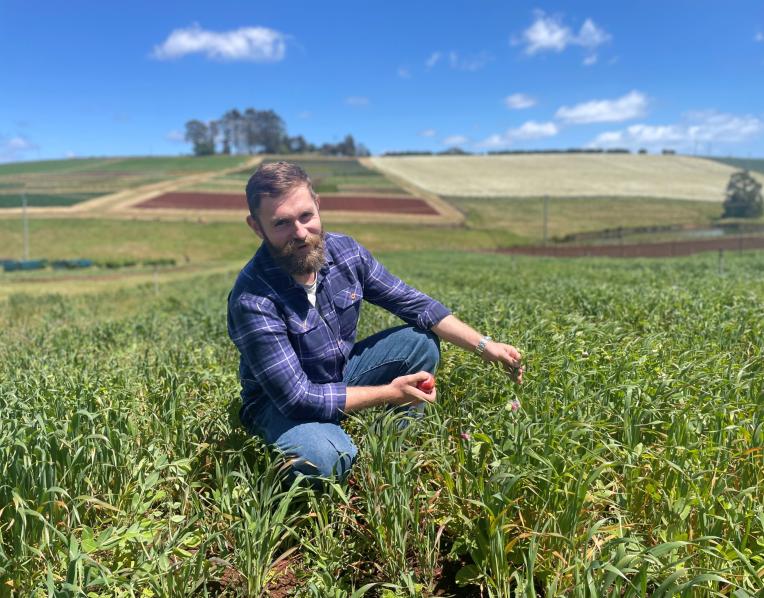 Tasmanian Institute of Agriculture entomologist Dr Jon Finch
