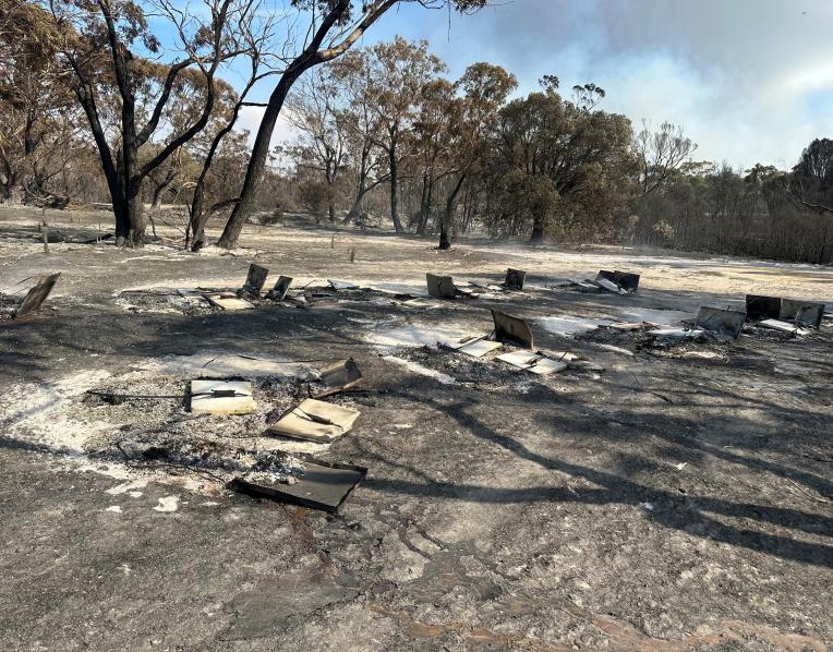 Burned bee hives at Diana's Basin