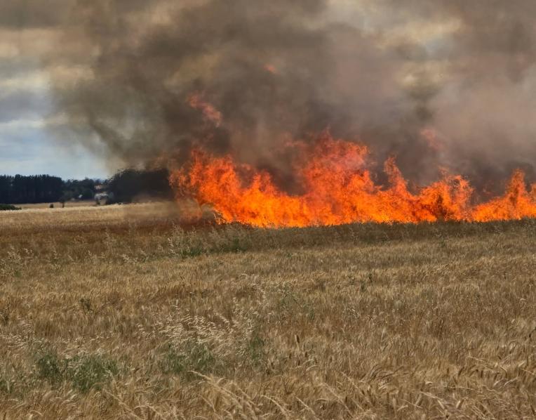 wheat crop on fire