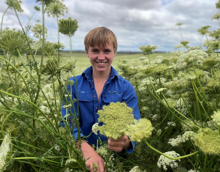 Jack Frost with his carrot seed crop