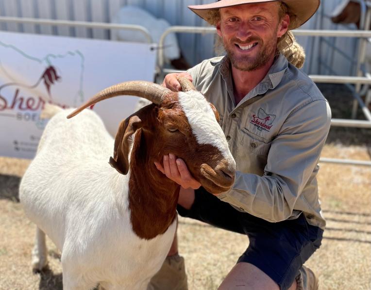Callan Morse of Sherwood Boer Goats