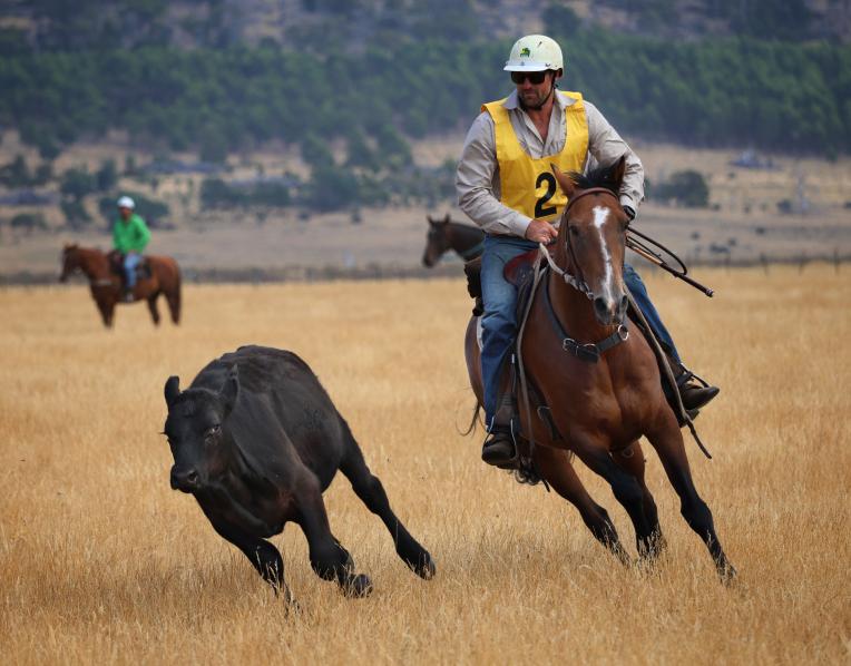 Brett Staines in action.