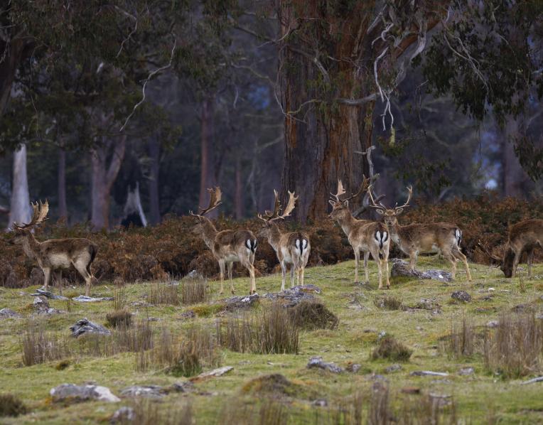 Photo by Zac Bartels