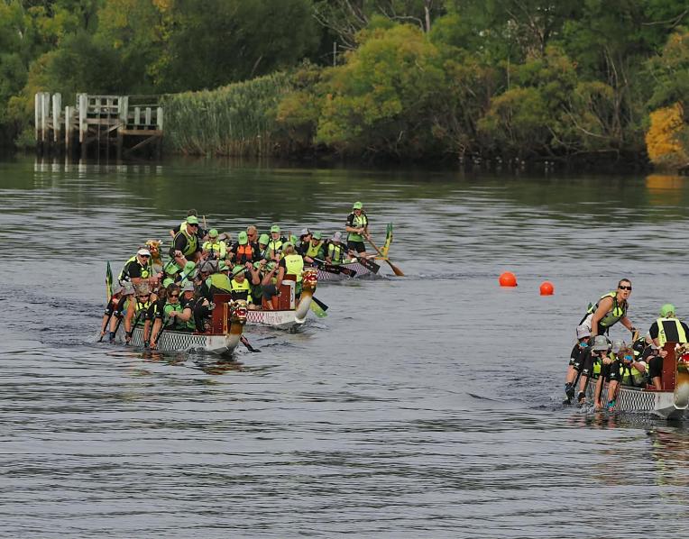Dragon Boats racing at New Norfolk