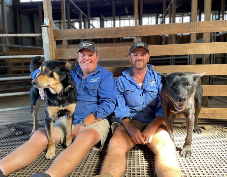 Michael and Tim Hall