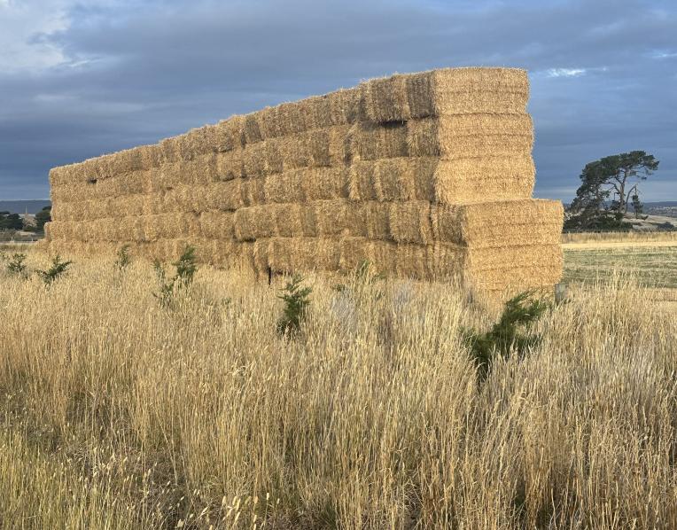 Hay stack