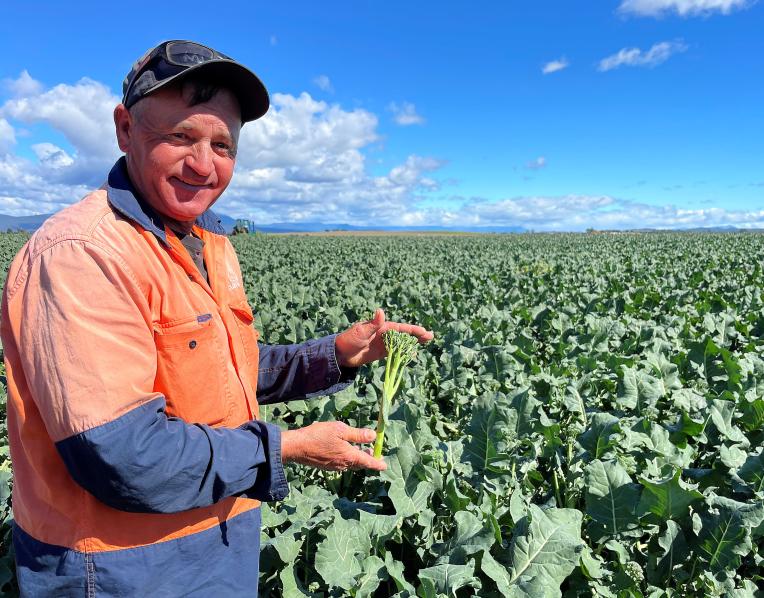 CloudAg broccolini manager Mark Waasdorp in a field of broccolini.