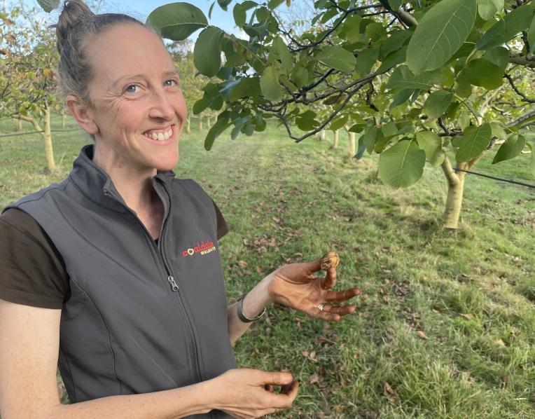 Sophie Millic of Coaldale Walnuts