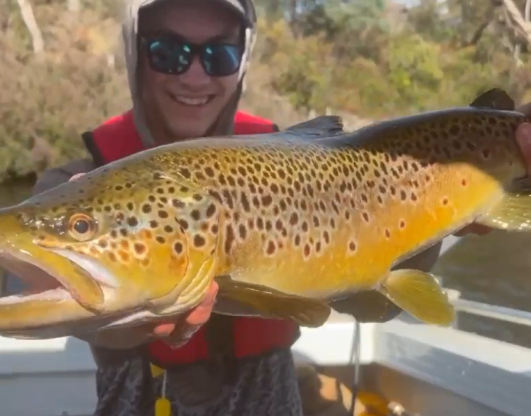 Ewan Dillon with a solid male brown trout he caught and released from Meadowbank Lake recently.