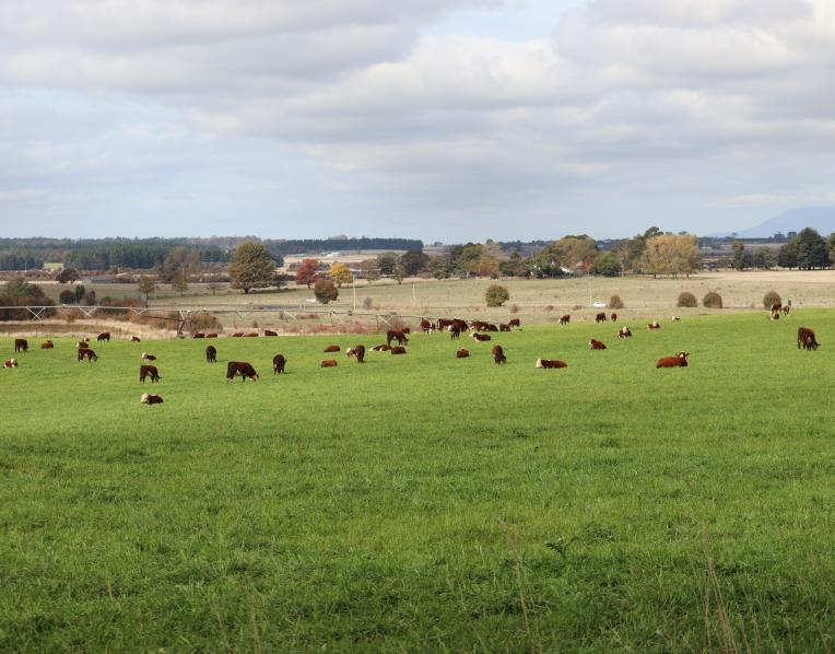 farmland