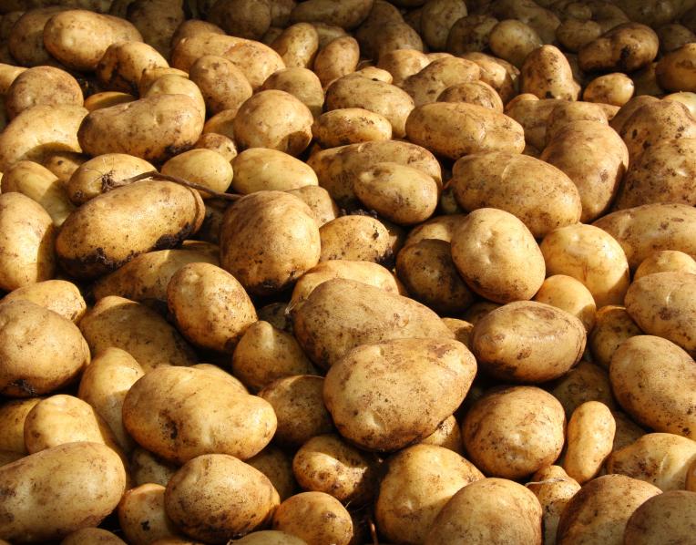 Potatoes