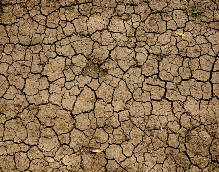Dry land