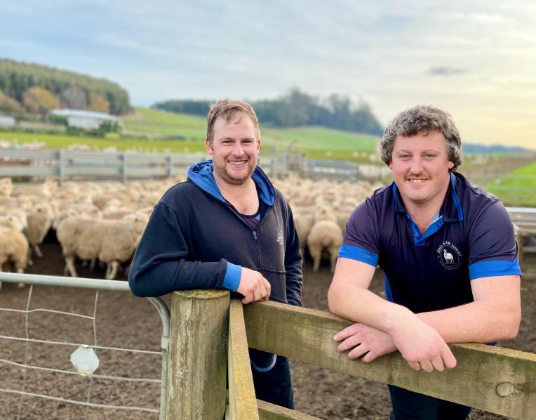 Top shearers
