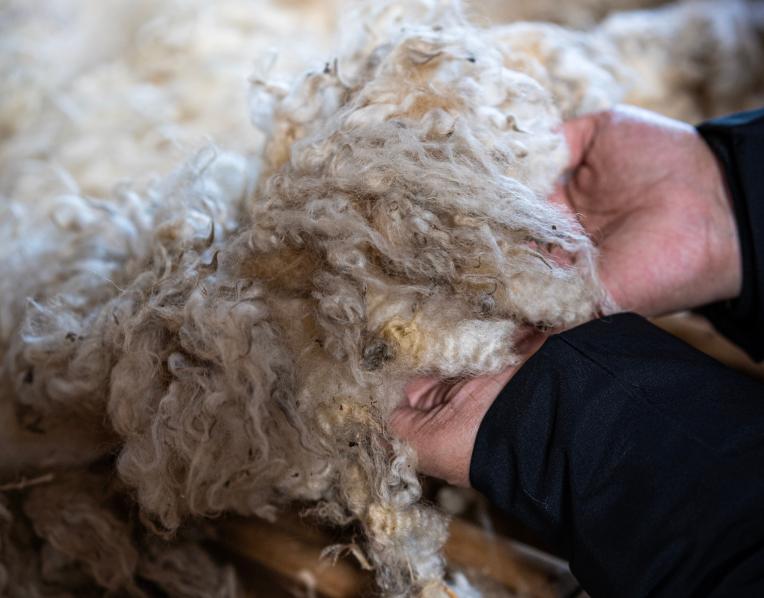 Fleece