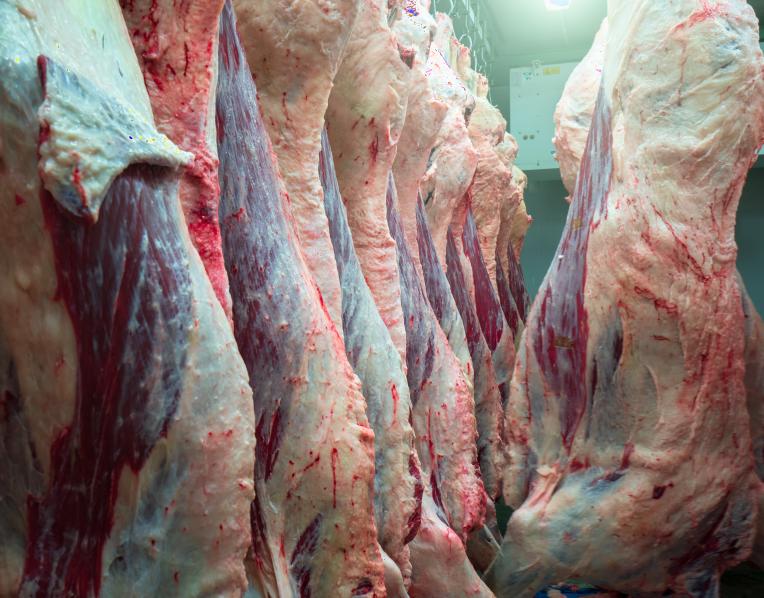 Carcases
