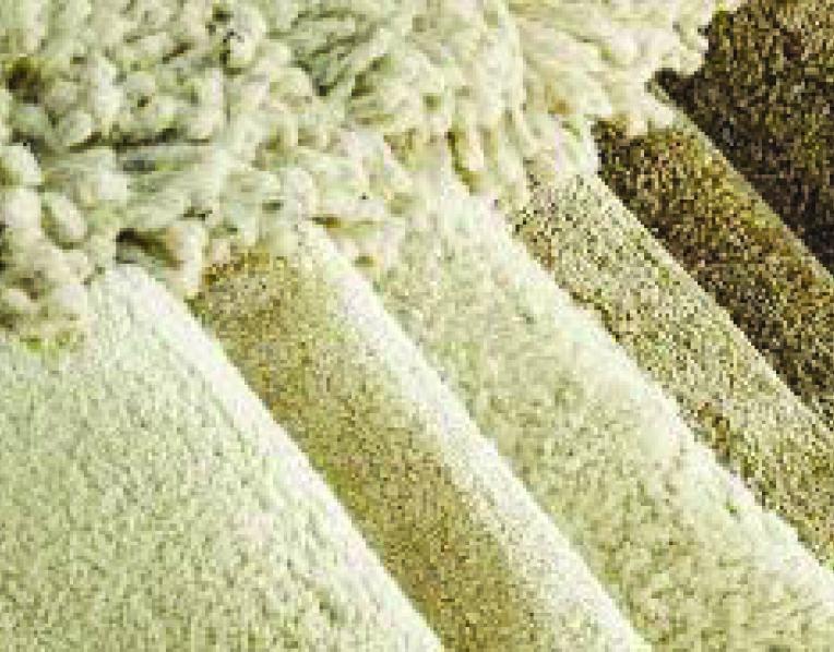 Woollen carpet