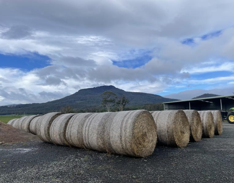 Hay bales