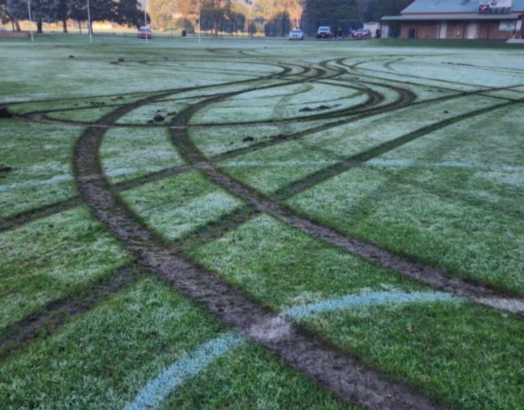 Tynwald Park vandalism