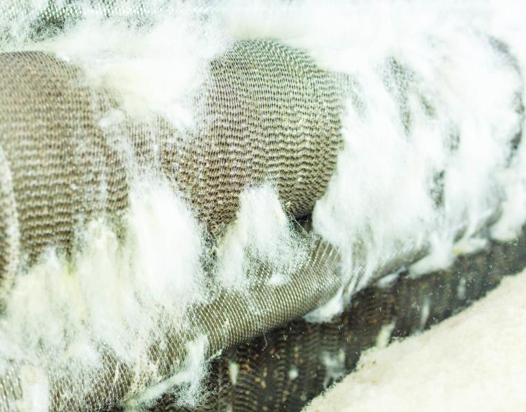 Carding wool