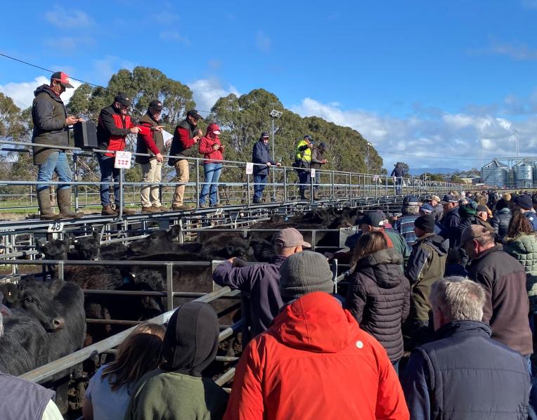 Powranna Saleyard