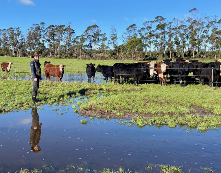 Tolivar Angus Stud farm manager Hayden Harper 