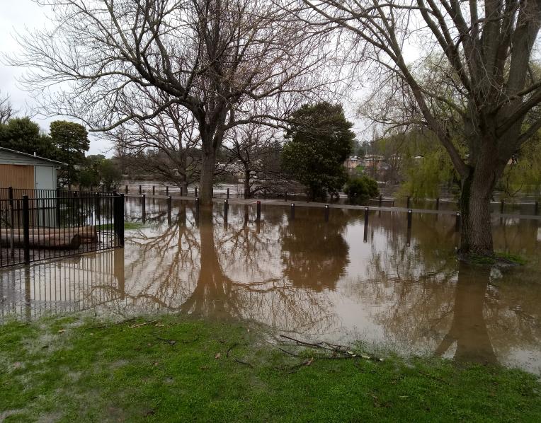 Flooding at New Norfolk in September 2024