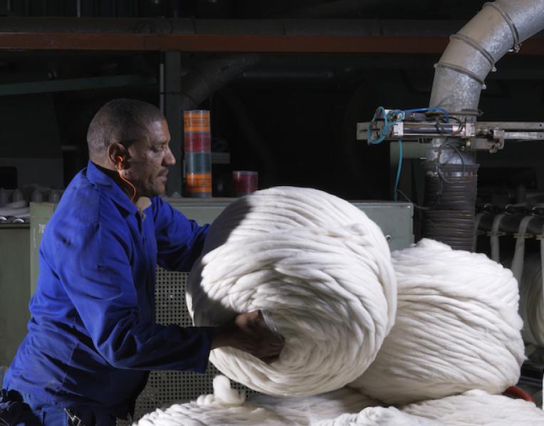 Processing wool tops