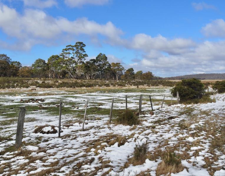 St Patricks Plains