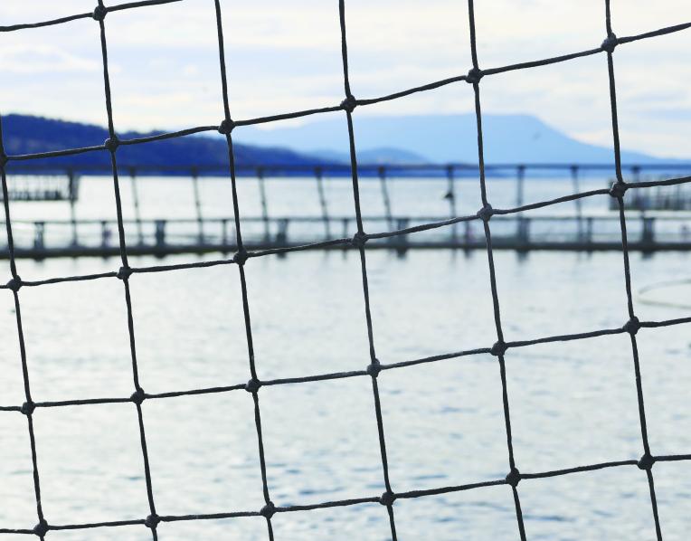 One of the salmon pens at Storm Bay