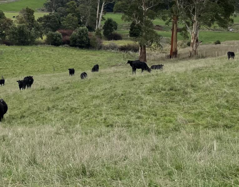 Huge rate rise for Launceston farmland