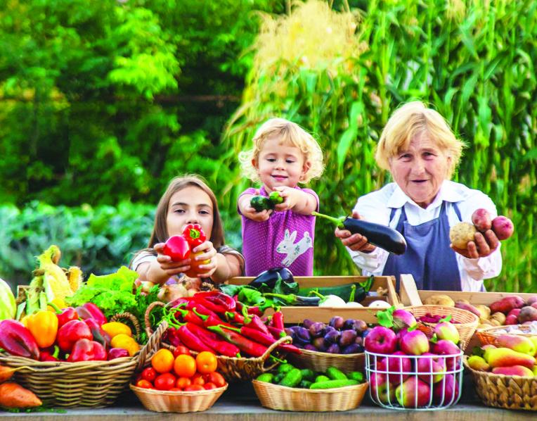 Vegetable stall