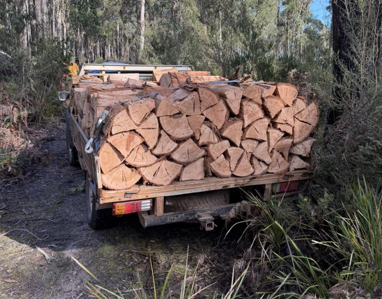 An illegal load of wood