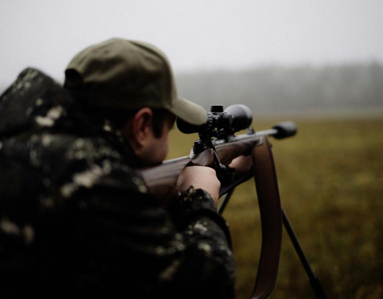 Hunting 