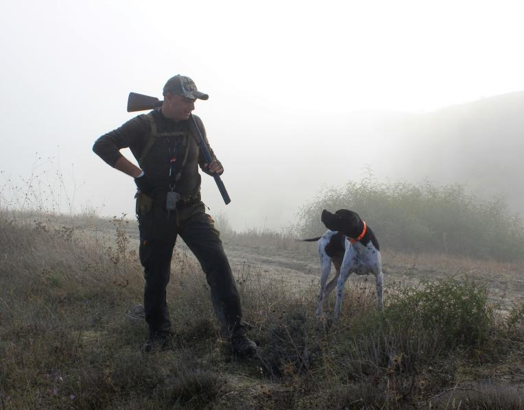 Hunting 