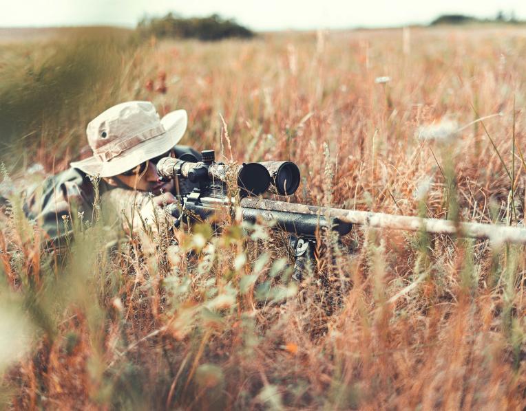 Hunting 