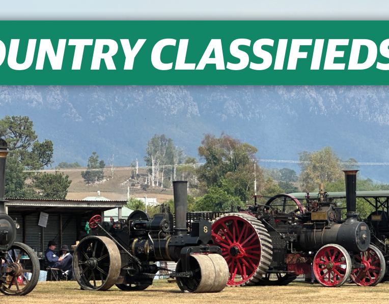 All the classifieds from this week's paper.