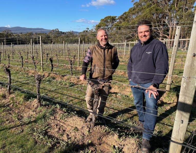 Vineyard manager Chris Martin and chief winemaker Ockie Myburgh