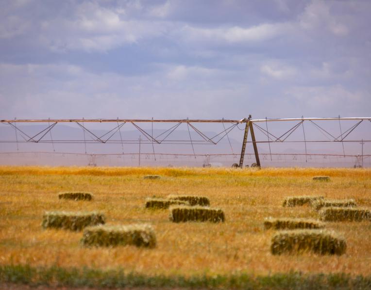 A farm