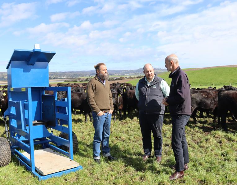Tasmania's Low Emissions Livestock (LEL) project 