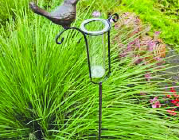 Rain gauge